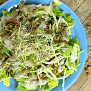 Low-Histamine Vegan Salad with Chia Ranch Dressing #vegan #lowhistamine #veganranch #salad #easy