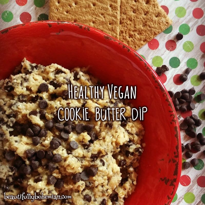 Vegan Healthy Cookie Butter Dip