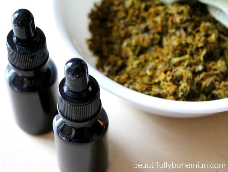 diy tincture guide for beginners