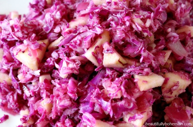 german vegan cabbage