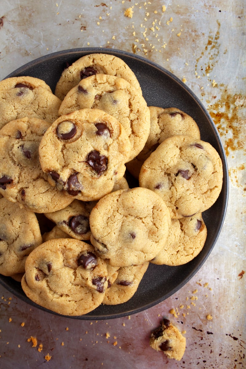A plate of chocolate chip cookies. 
