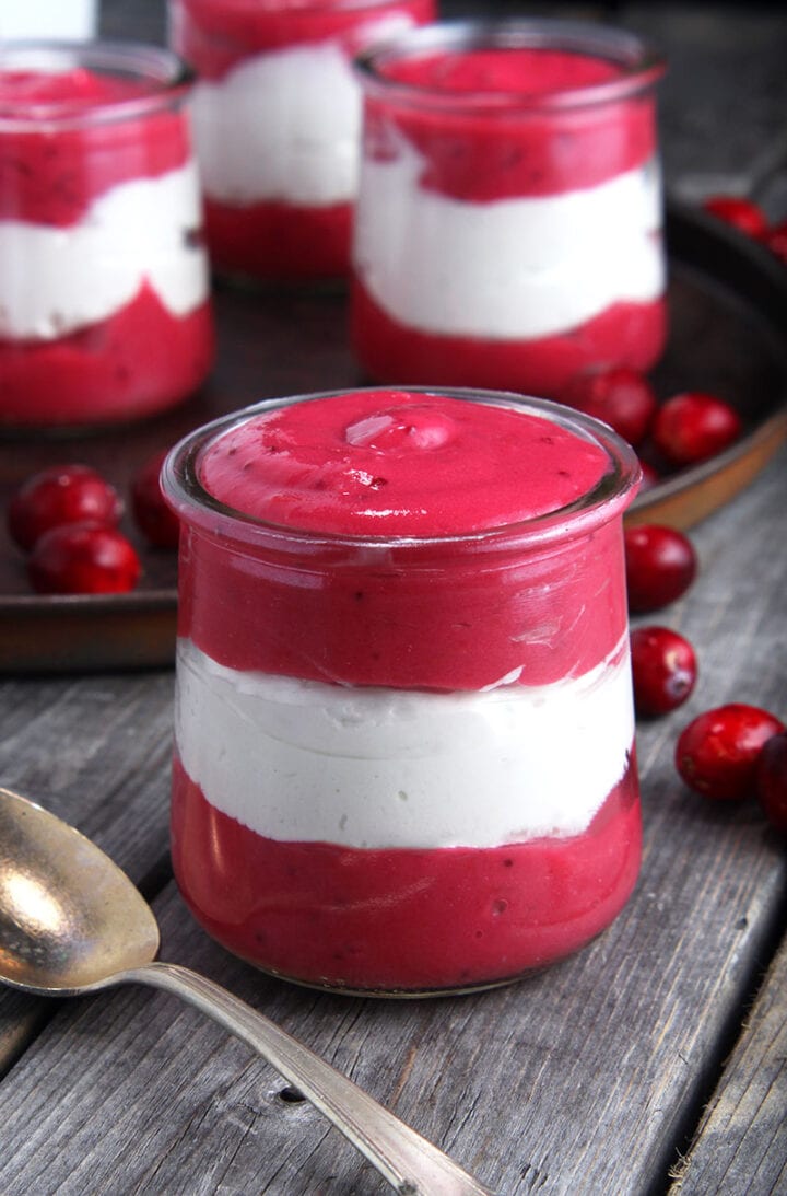 closeup of vegan cranberry sauce with whipped topping